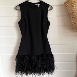 Elizabeth & James Elegant Black Feathered Dress